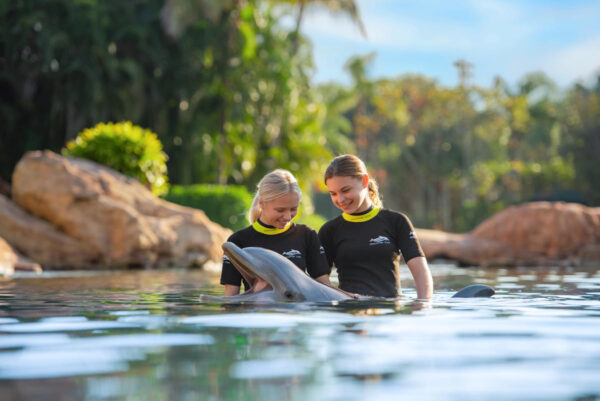 screenshot: Discovery Cove, em Orlando: nado com golfinhos, arraias e peixes all inclusive