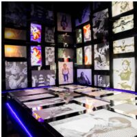 exposição cazuza