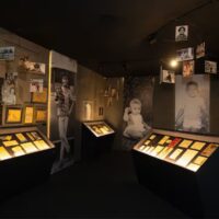 exposição cazuza