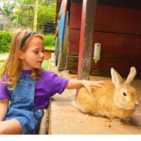 bichomania-passeios-kids