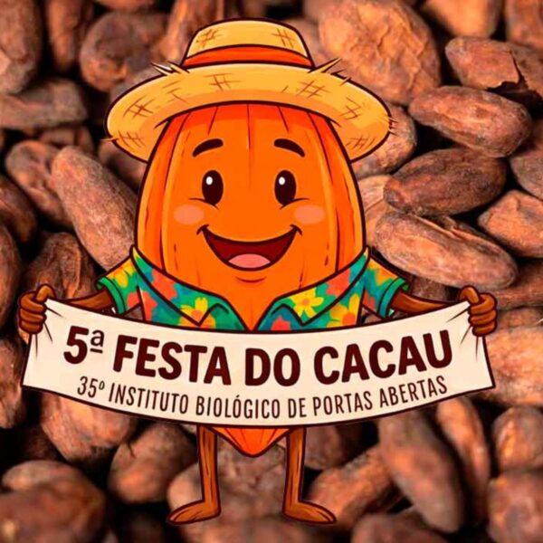 screenshot: Festa do Cacau em São Paulo tem oficinas, chocolate e programação infantil na Vila Mariana
