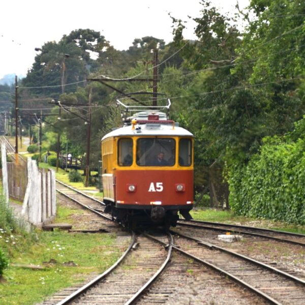 passeios-trem-campos-joradao-passeios-kids