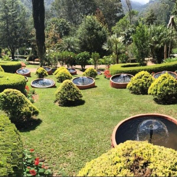 santo-antonio-pinhal-passeios-kids