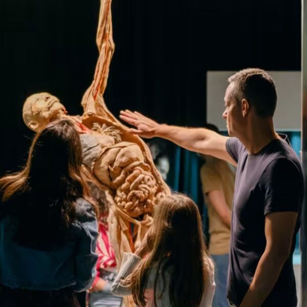 screenshot: COM DESCONTO! Human Bodies: exposição Maravilhas do Corpo Humano chega ao Shopping Anália Franco